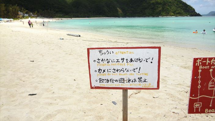渡嘉志久ビーチ（とかしくビーチ）でウミガメと泳ぐ